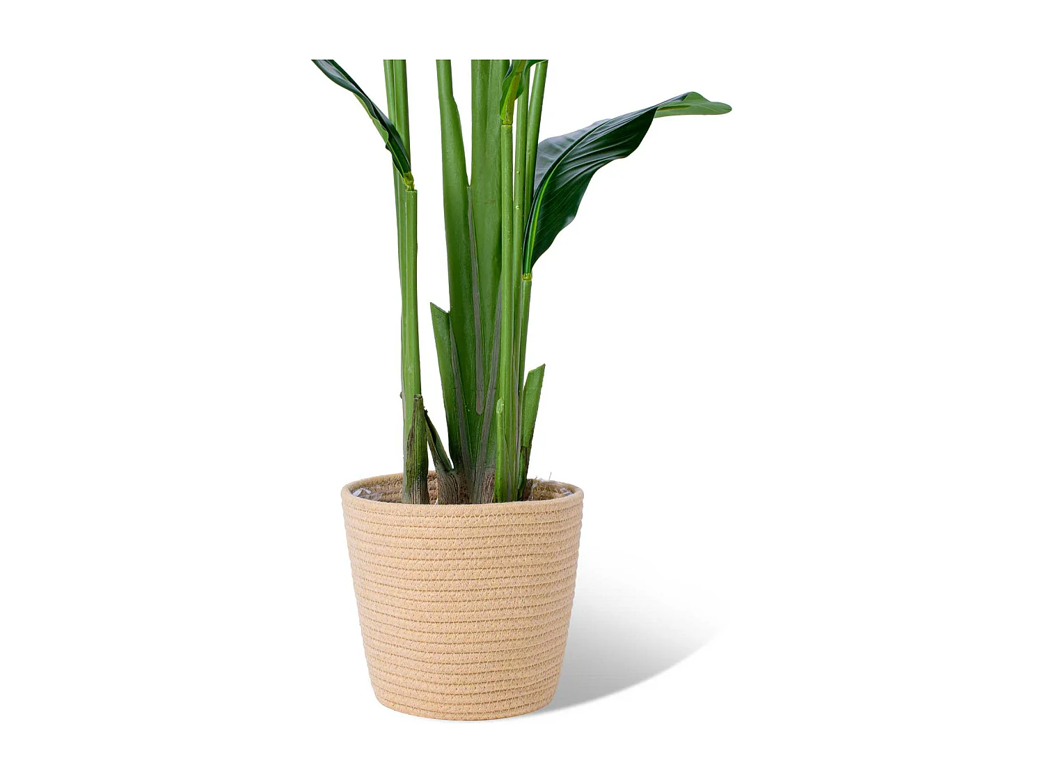 Banana Traveller - Planta artificial em vaso H160 cm