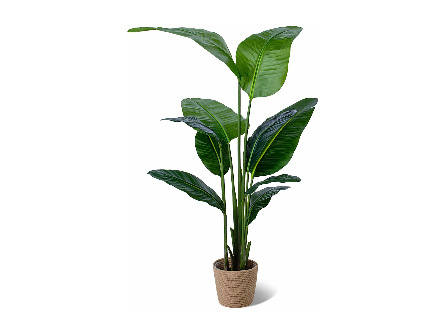 Banana Traveller - Planta artificial em vaso H160 cm