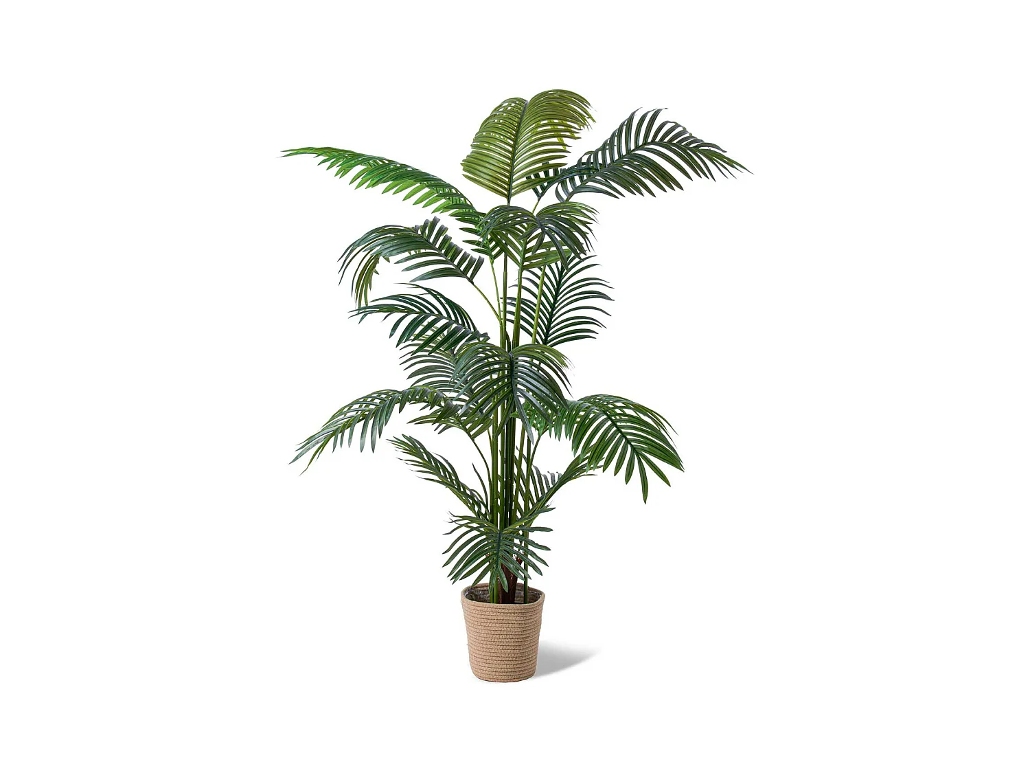 Potted- Pianta Artificiale in vaso H160 cm
