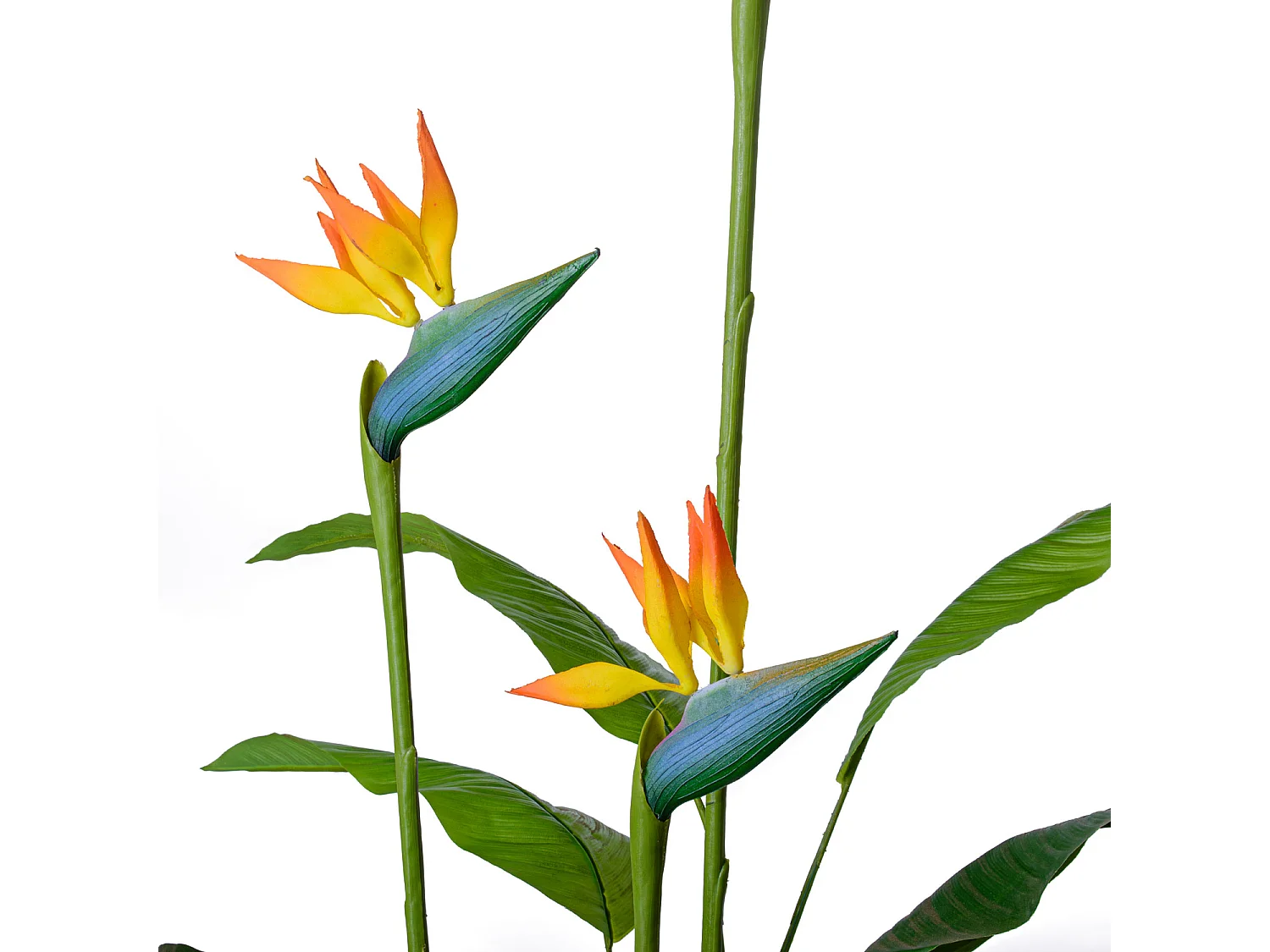 Bird of Paradise - Planta artificial em vaso H160 cm
