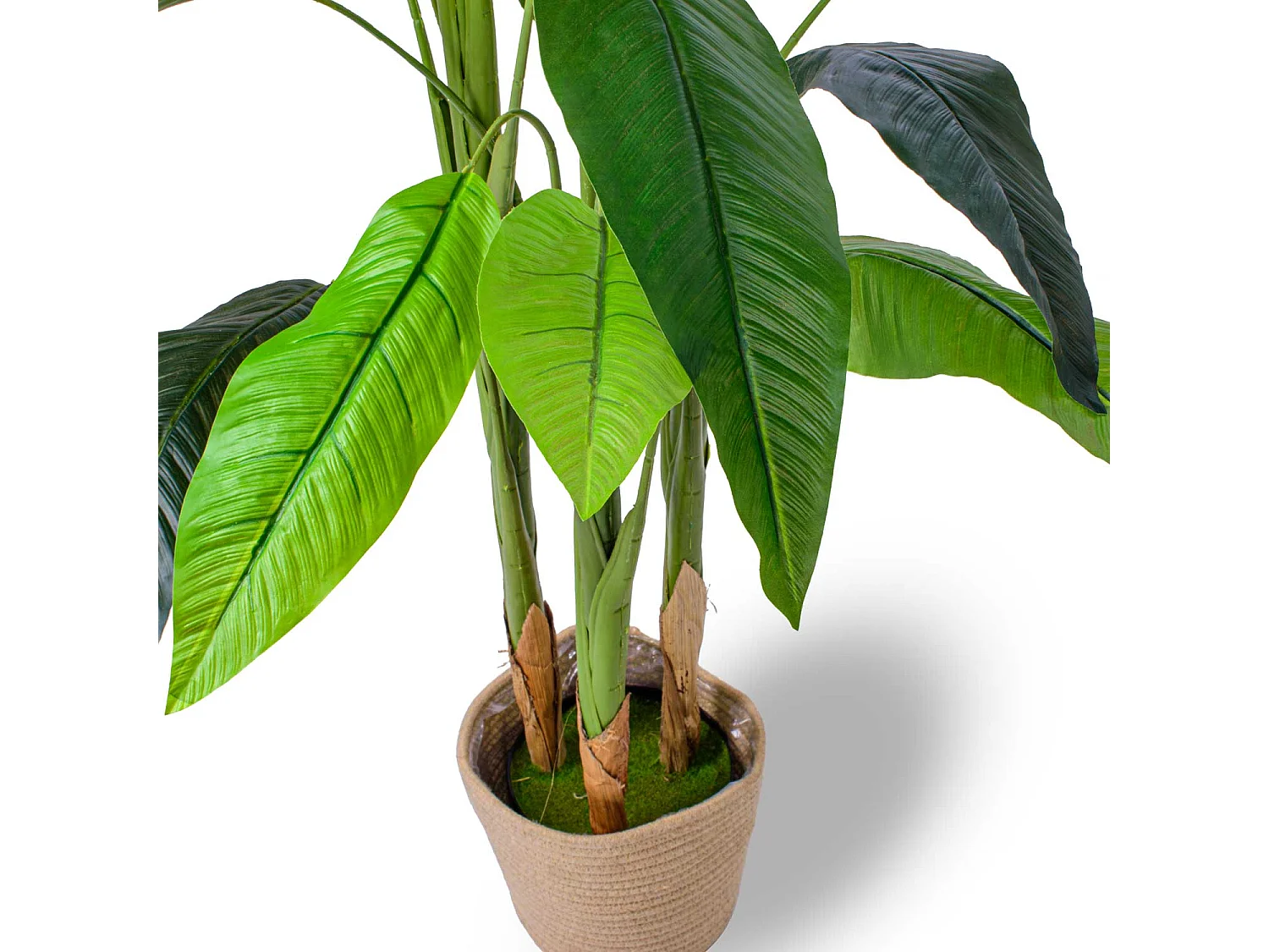 Bird of Paradise - Planta artificial em vaso H160 cm
