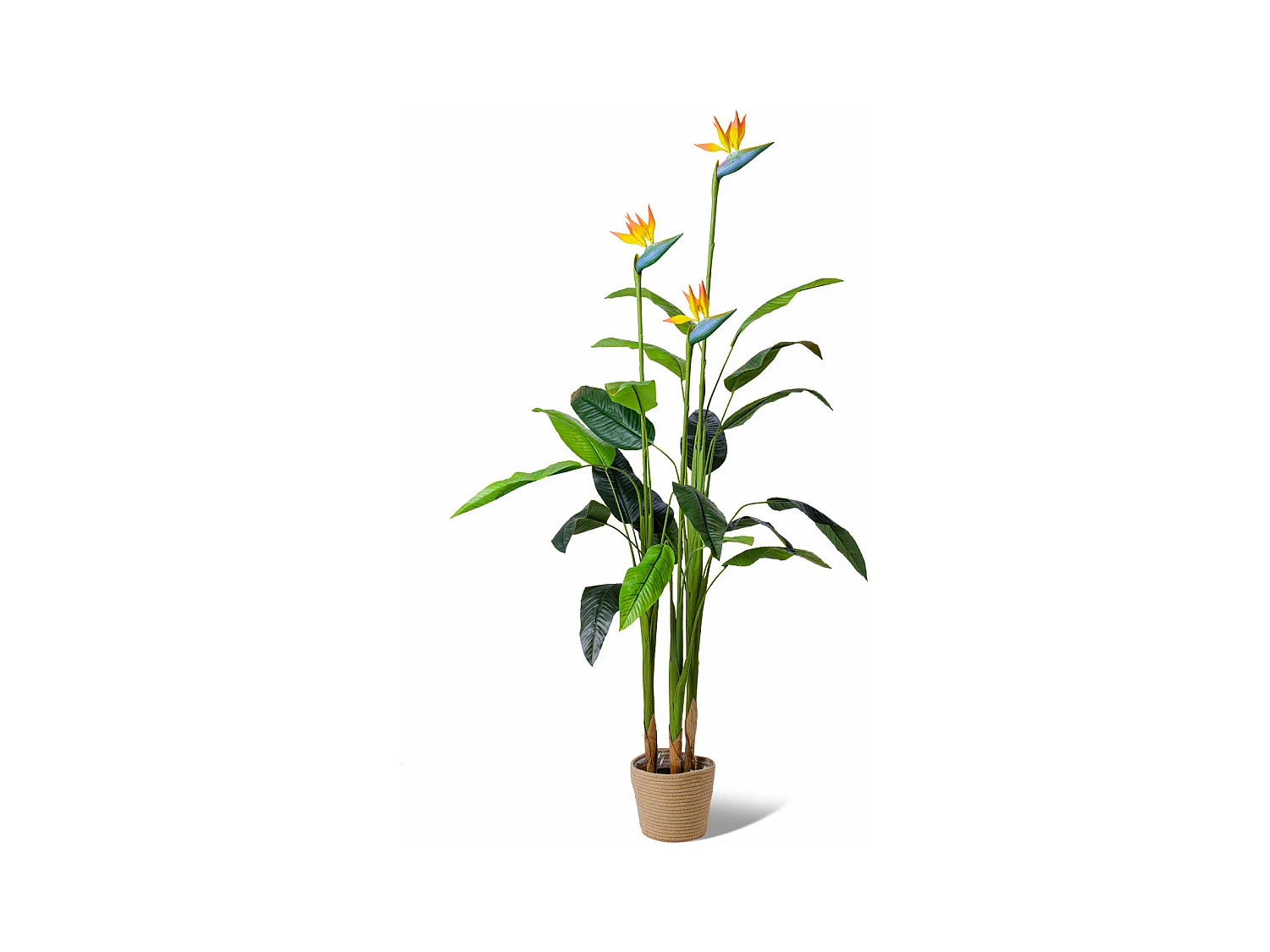 Bird of Paradise - Planta artificial en maceta H160 cm