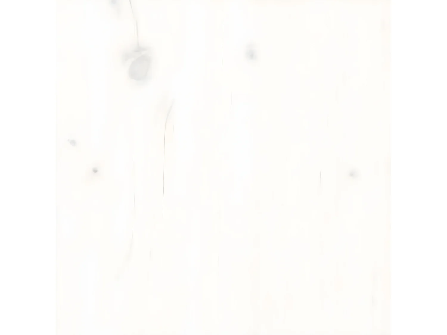 Bibliothèque/Séparateur de pièce Blanc 60x35x160 cm Bois massif