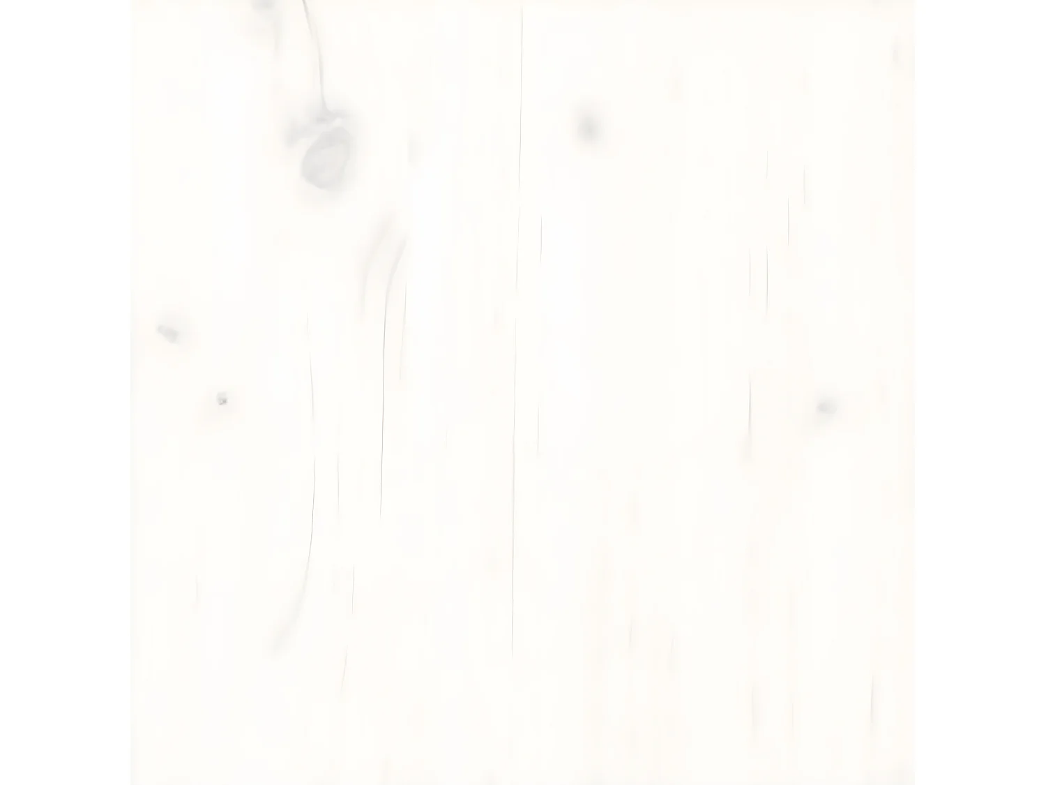 Bibliothèque/Séparateur de pièce Blanc 60x30x199,5cm Pin solide