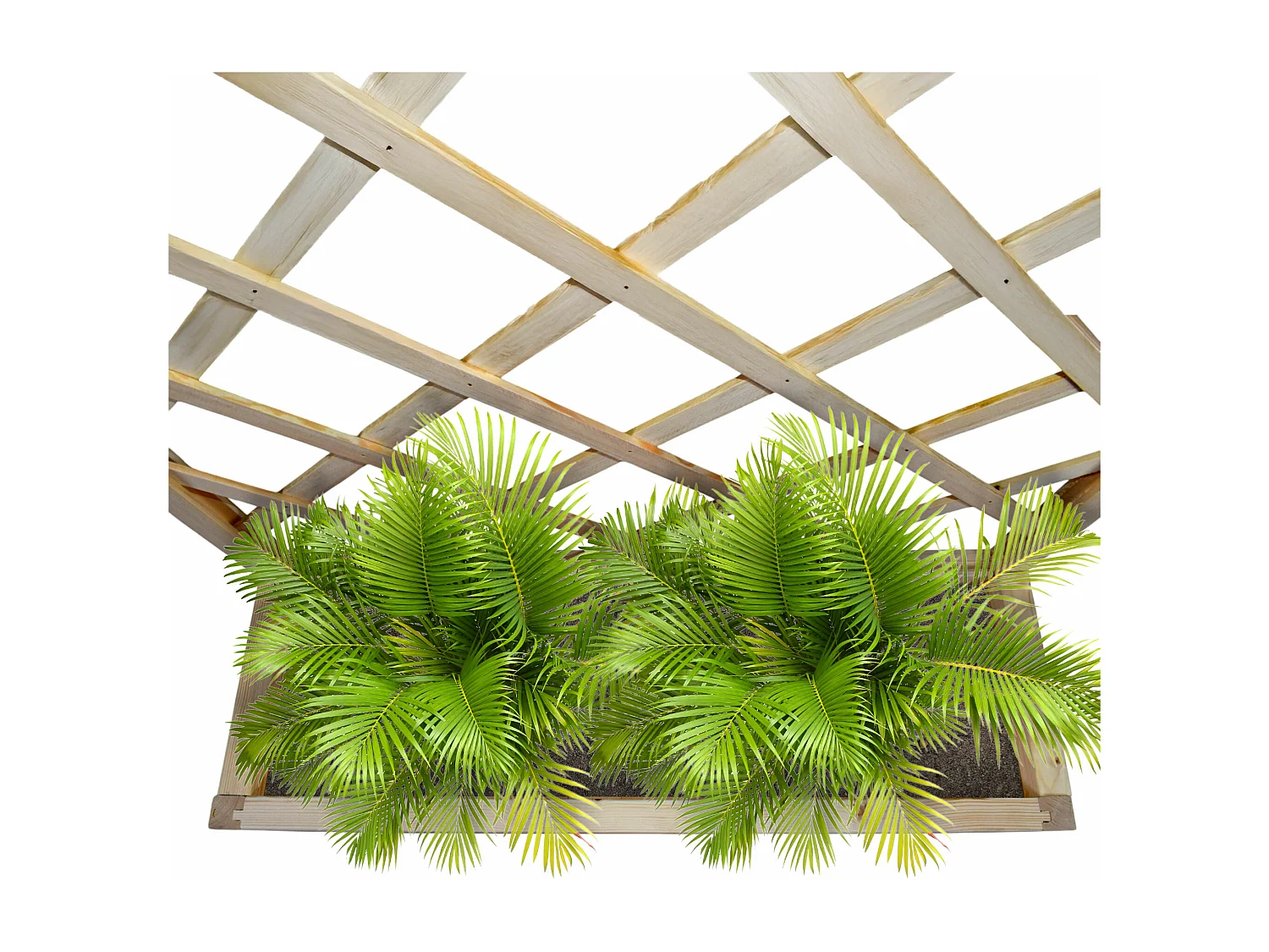 Dorothy - Jardinière en bois de cèdre imprégné avec espalier H180 cm