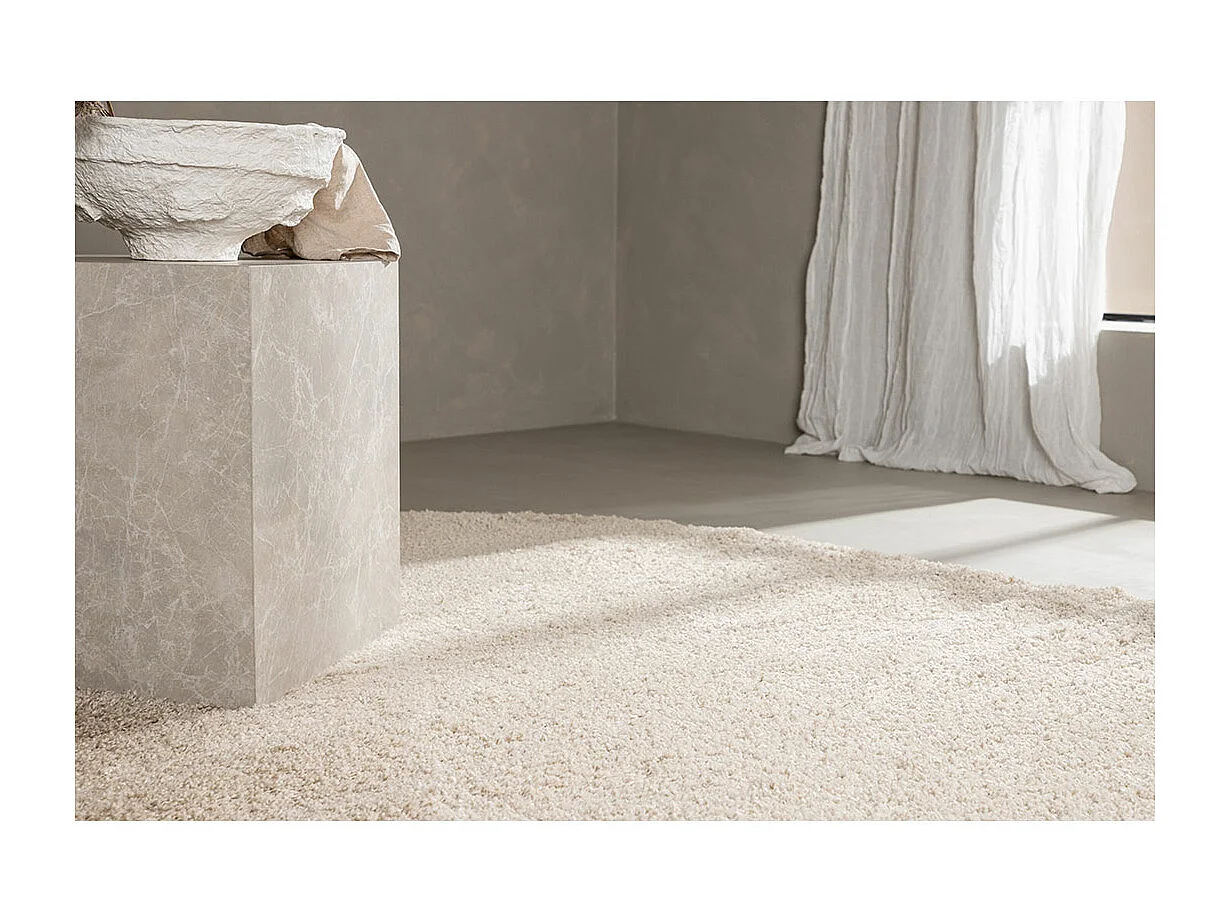 Walter vloerkleed 340x240cm beige.