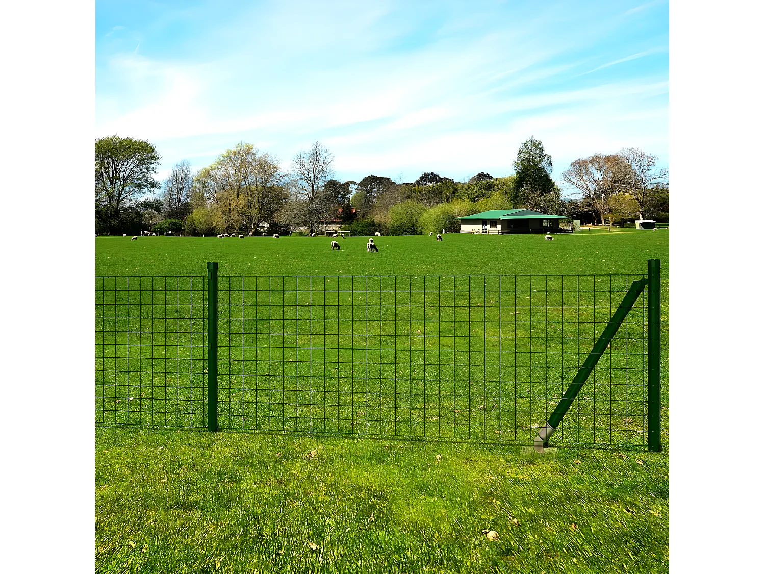 Clôture euro Acier 10 x 1,0 m Vert 4