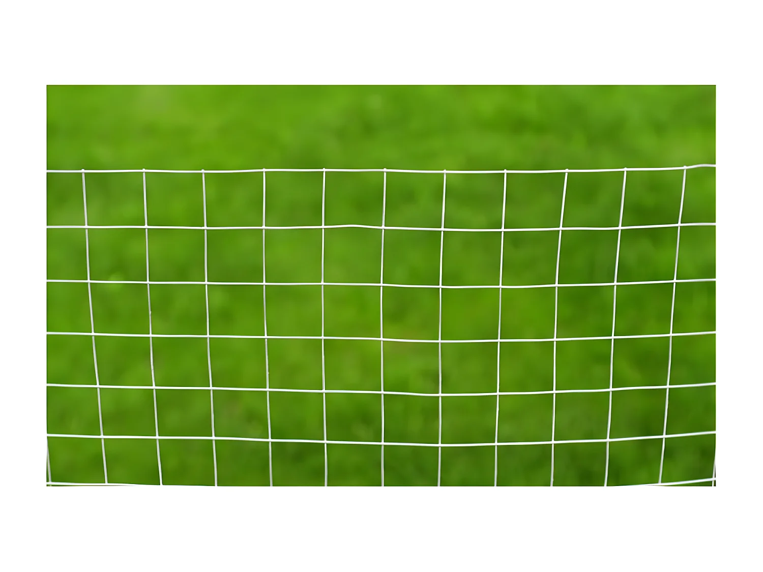 Clôture en treillis Acier galvanisé Carré 1x25 m Argenté