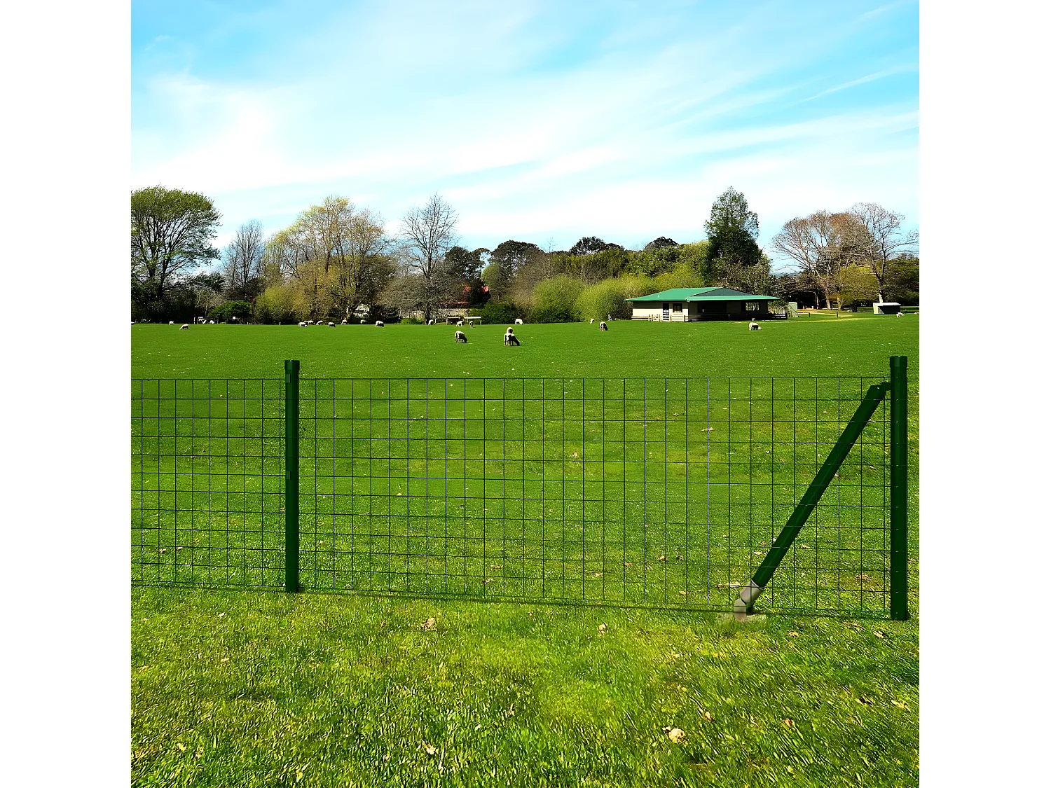 Clôture euro Acier 25 x 1,5 m Vert 2