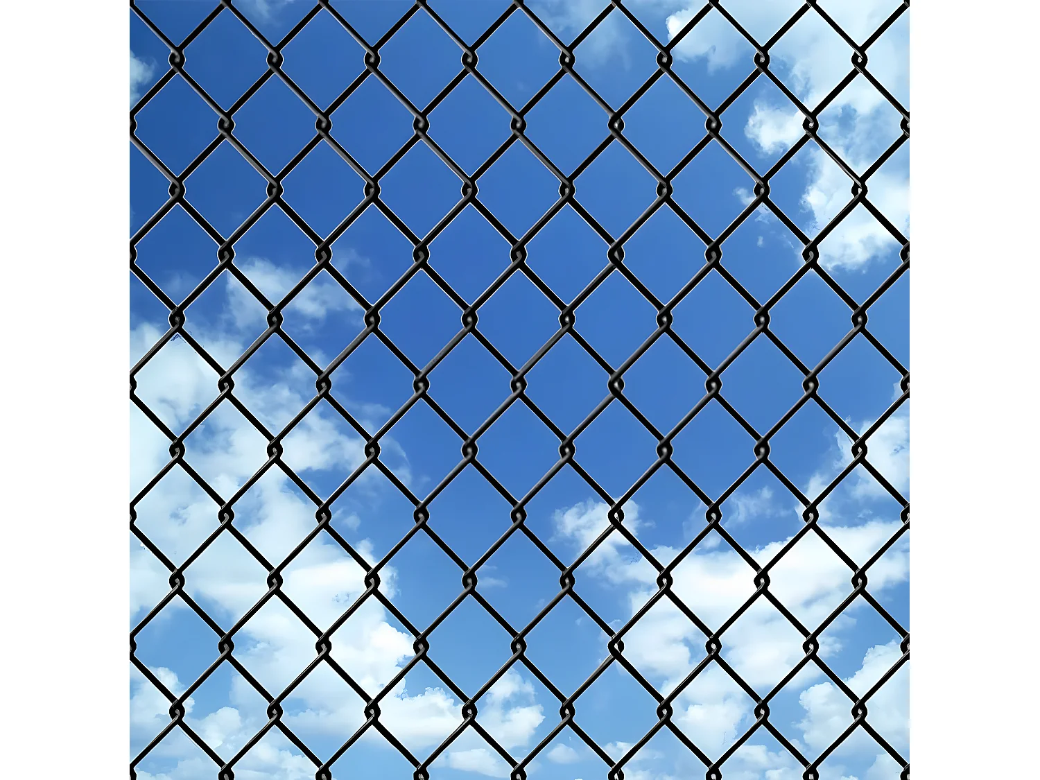 Clôture à mailles Acier 25 x 1,25 m Gris