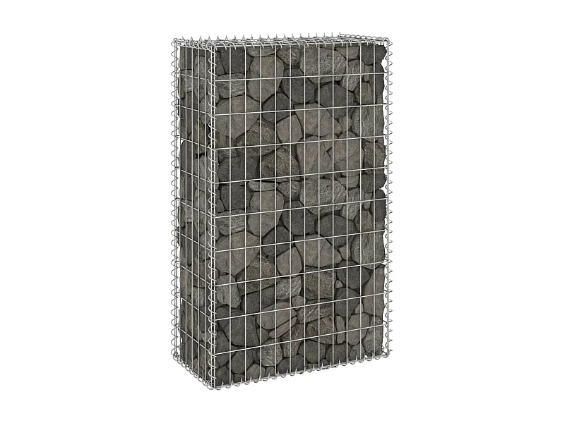 Mur en gabion avec couvercles Acier galvanisé 60x30x100