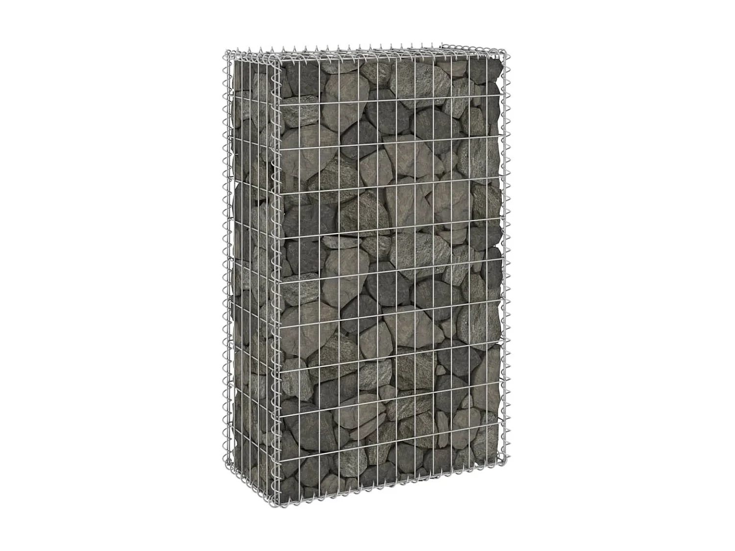 Mur en gabion avec couvercles Acier galvanisé 60x30x100
