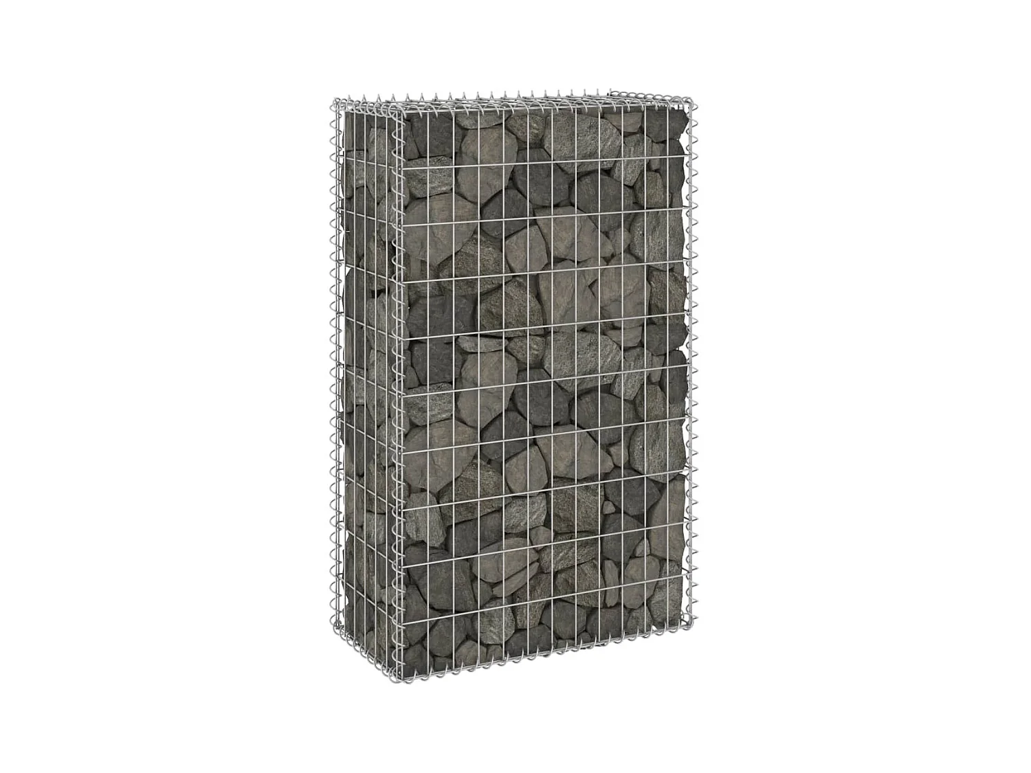 Mur en gabion avec couvercles Acier galvanisé 60x30x100