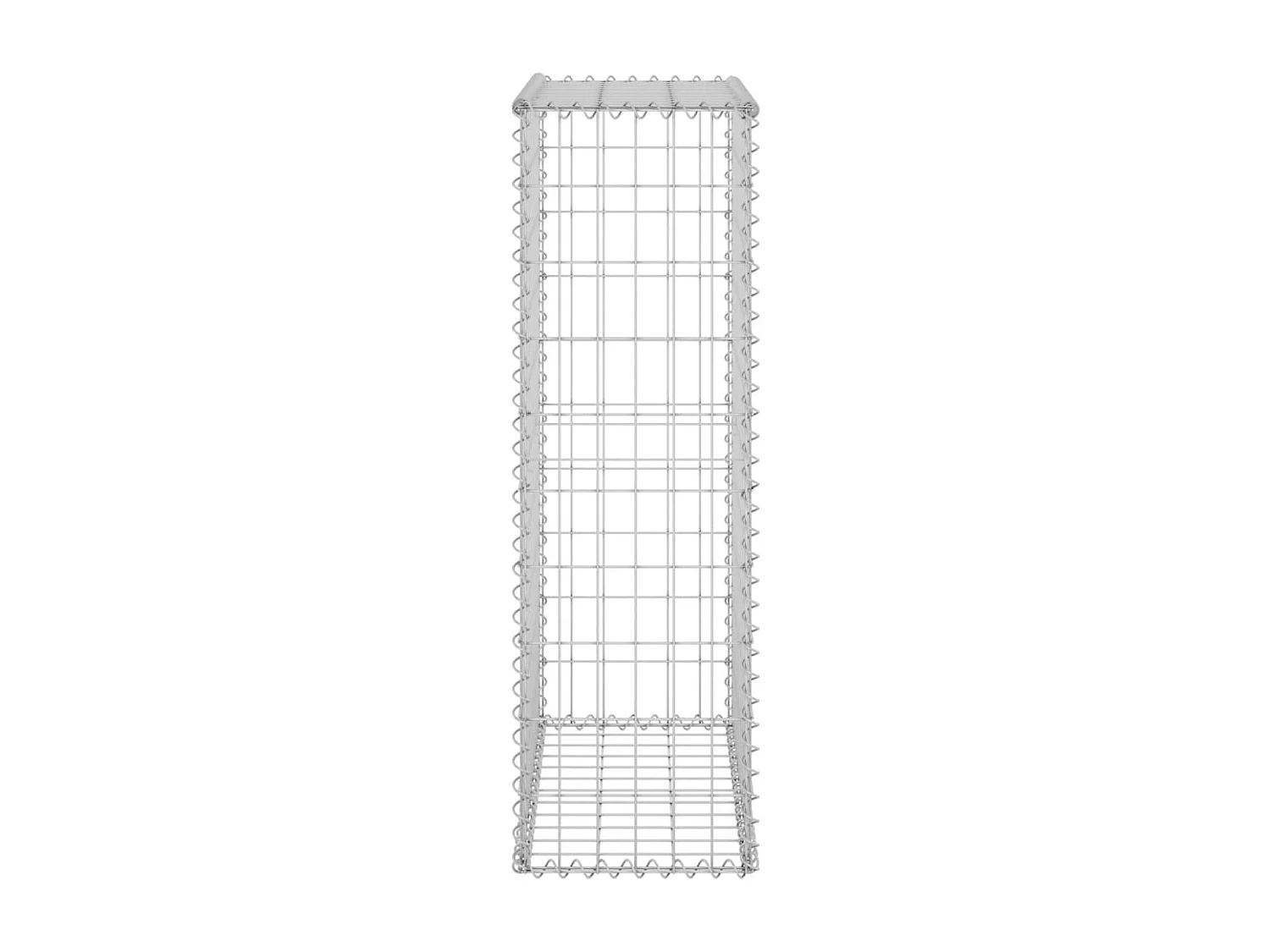 Mur en gabion avec couvercles Acier galvanisé 60x30x100