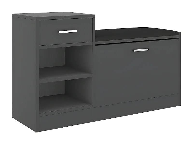 Banc à chaussures Gris 94,5x31x57
