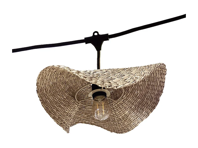 Guirlande lumineuse MOLLY Beige Herbe marine 6m