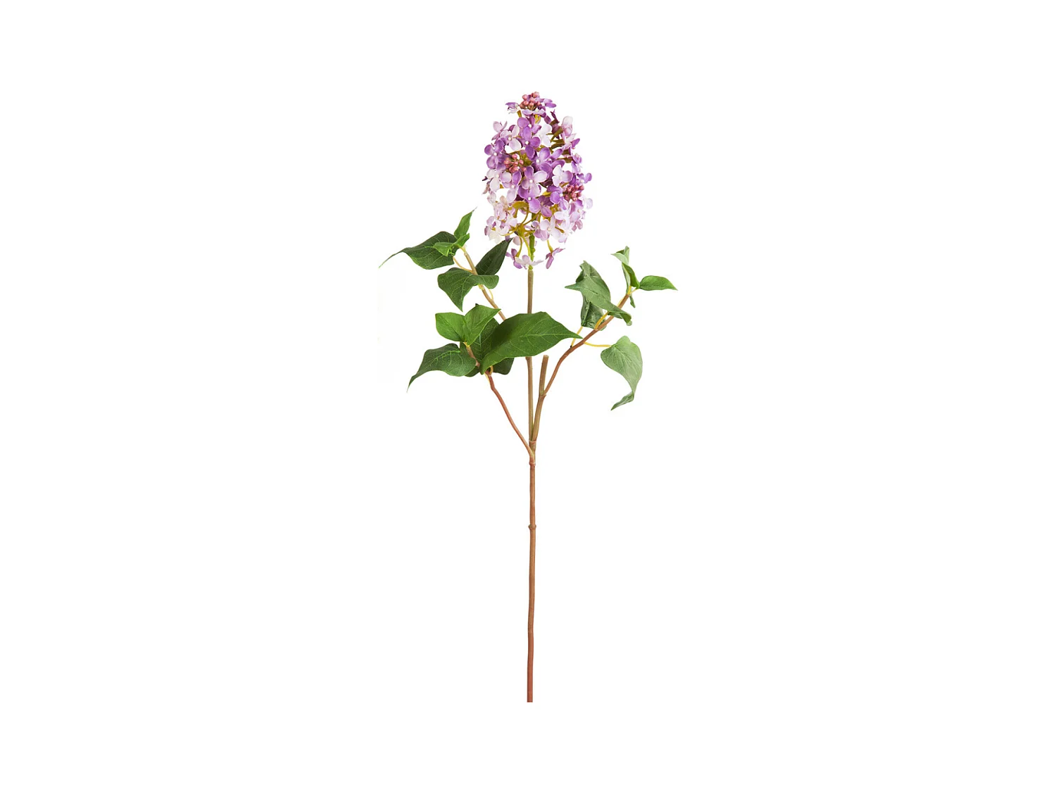 Tige de Lilas Petit Format - Blanc