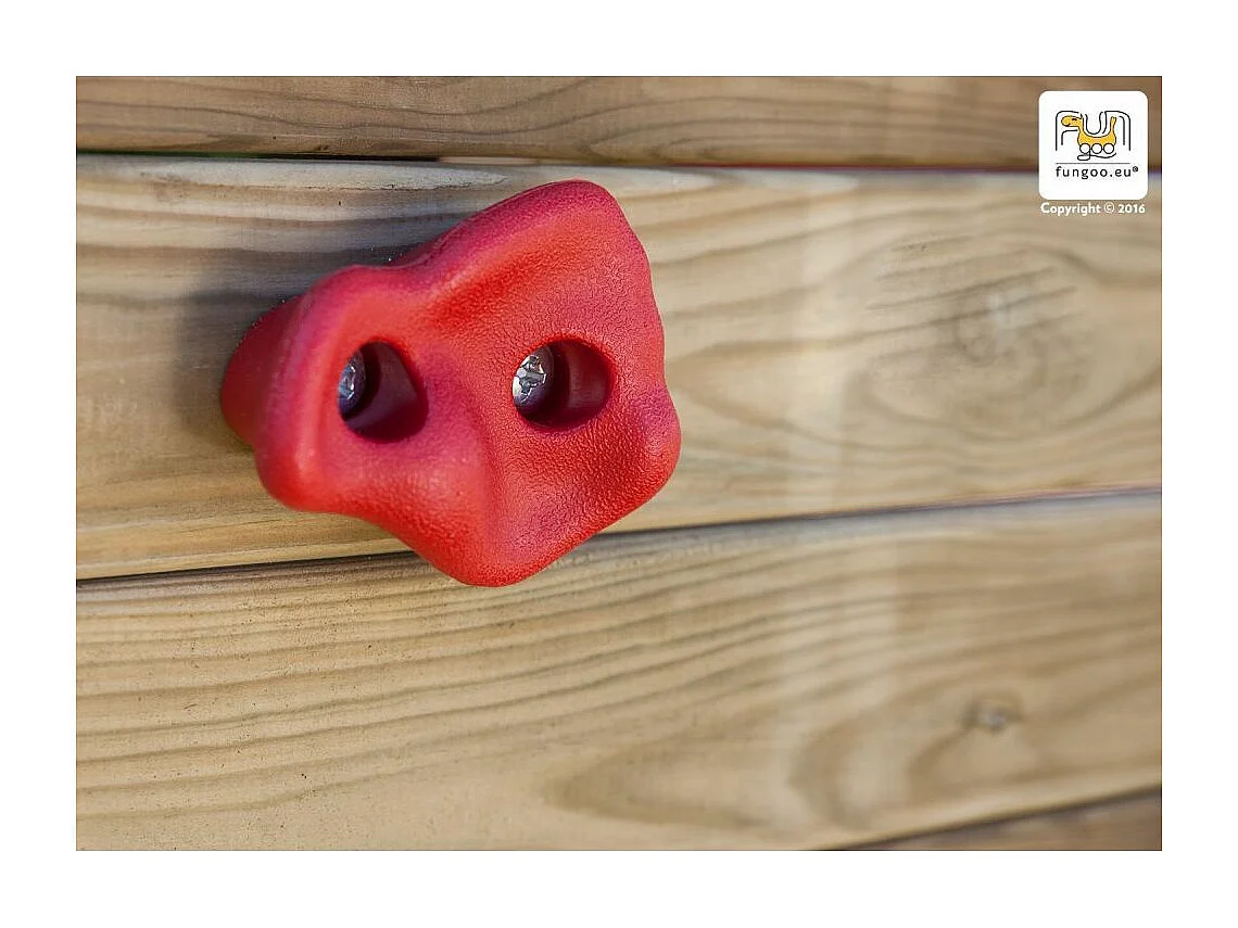 Aire de jeux Carol 2 - Toboggan Bleu - Fungoo