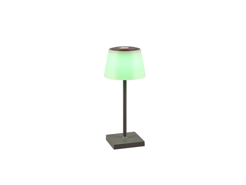 Lampada da tavolo da esterno LED, plastica, antracite, 13x30x13 cm, Sanchez