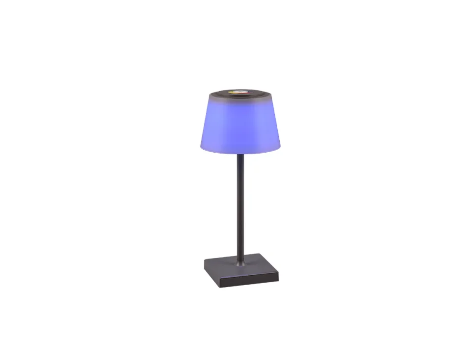 Lampada da tavolo da esterno LED, plastica, antracite, 13x30x13 cm, Sanchez