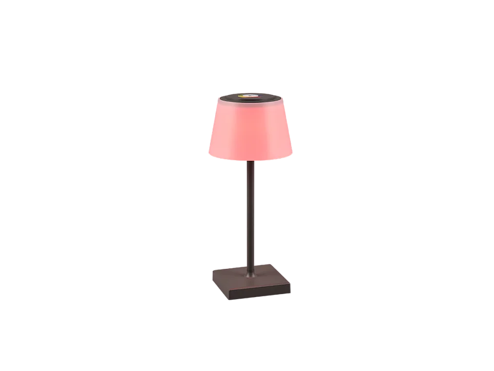 Lampada da tavolo da esterno LED, plastica, antracite, 13x30x13 cm, Sanchez