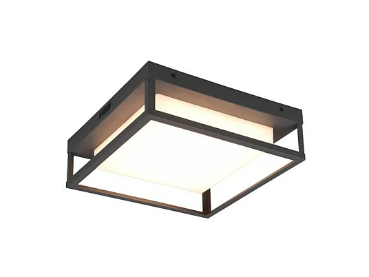 Plafonnier/Applique Led étanche 14W Dip Switch - Trio - Witham