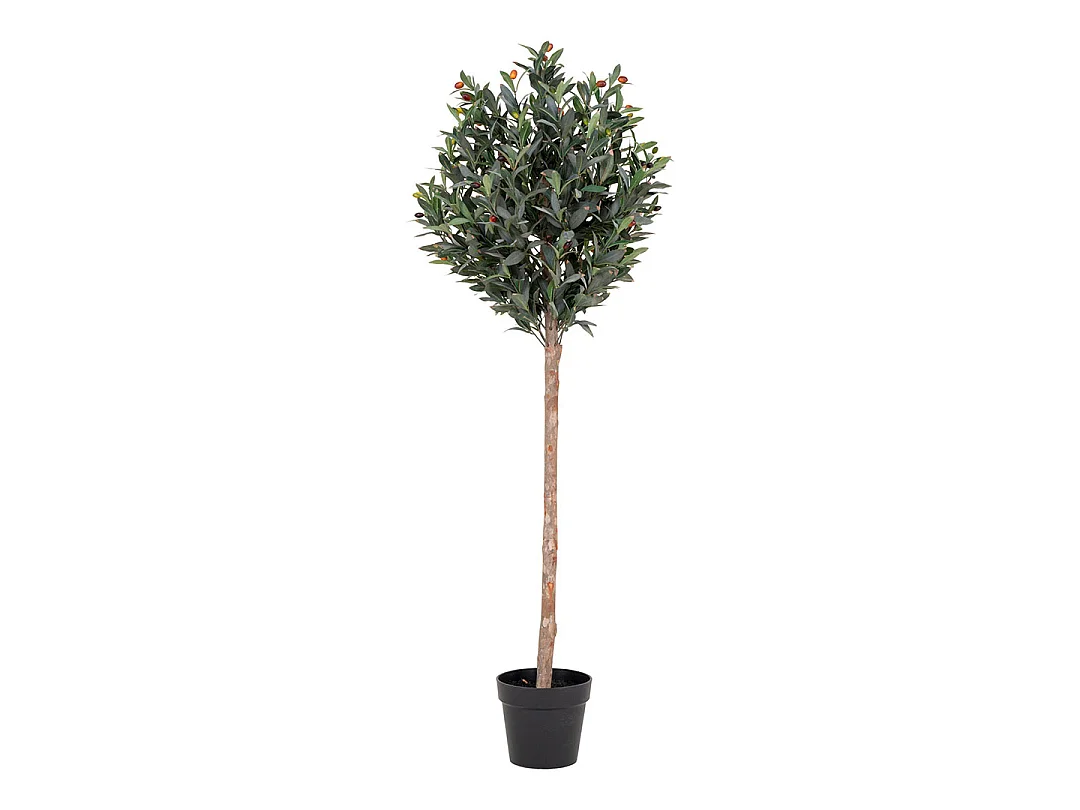 Oliventræ plante artificielle H150 cm verte.