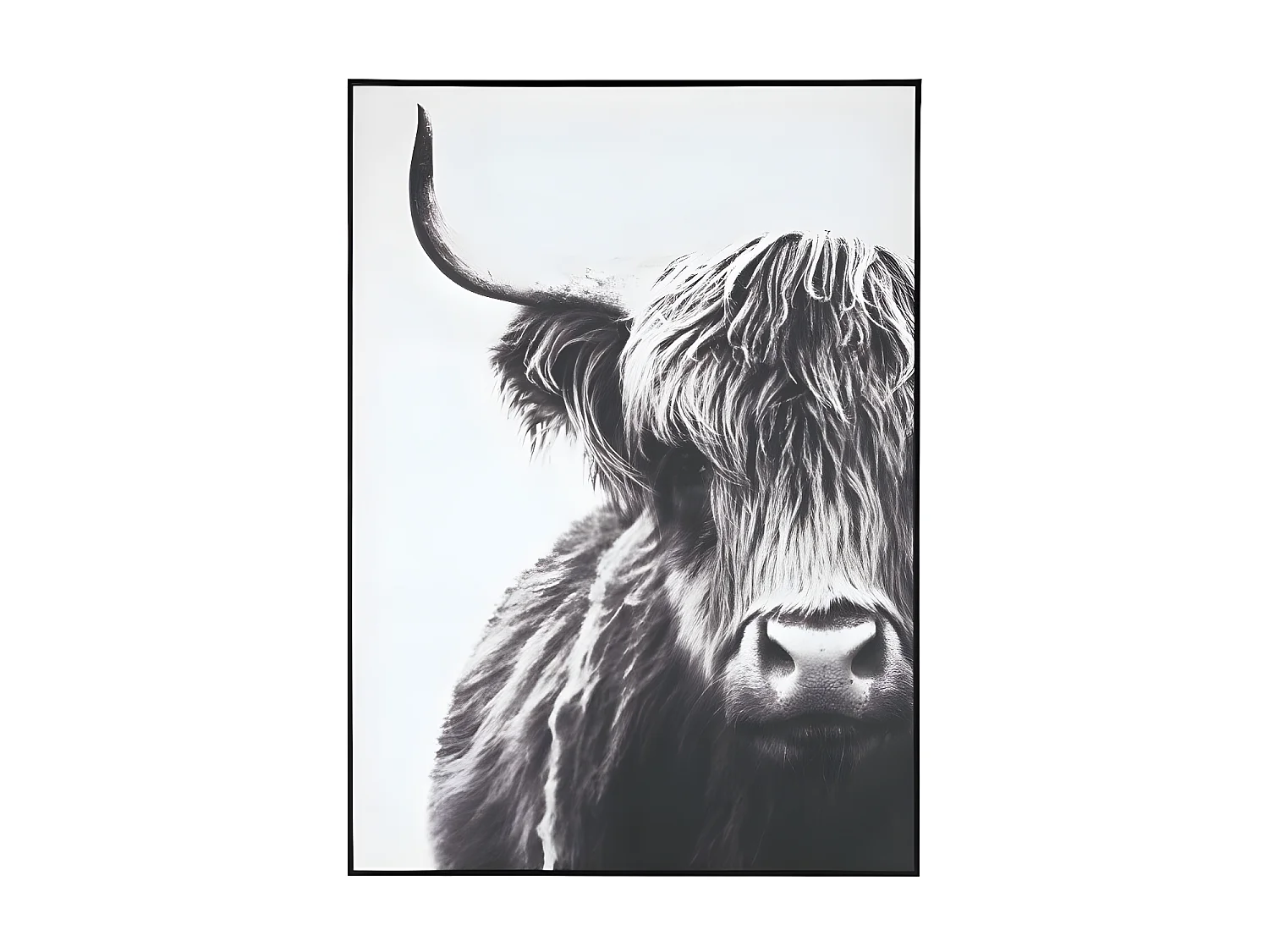 Tableau Déco "Yack" 142cm Noir & Blanc