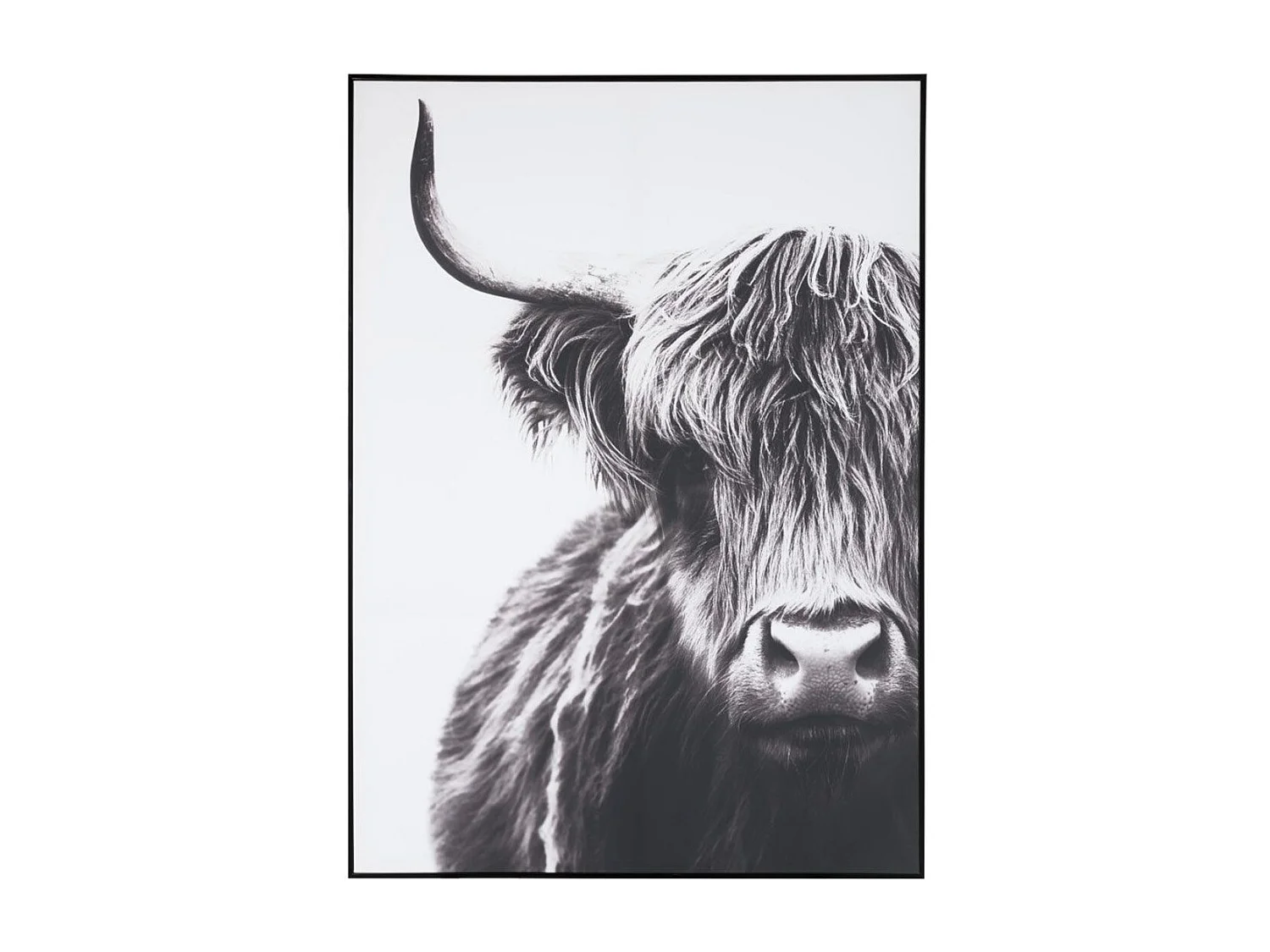 Tableau Déco "Yack" 142cm Noir & Blanc