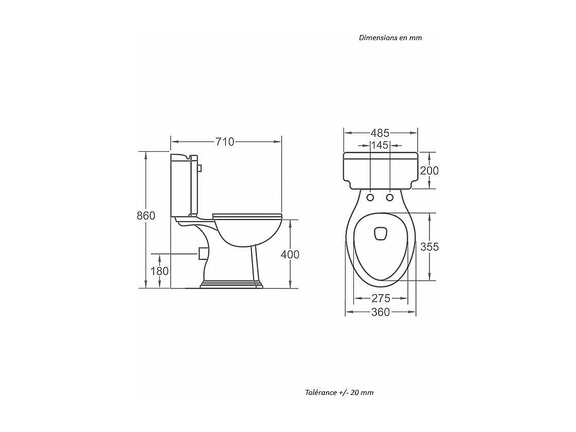 Inodoro de cerámica retro CHERY
