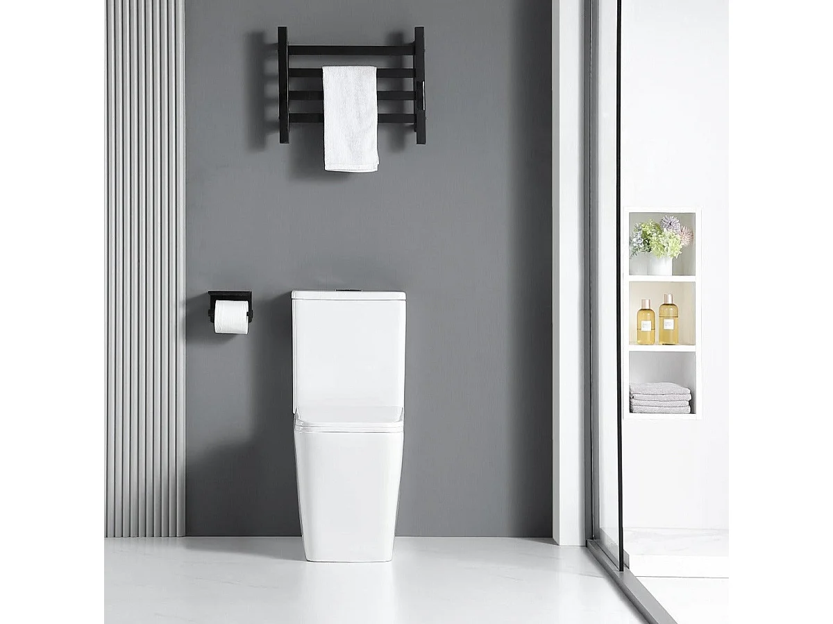 Toilette WC à poser BRAGADO en céramique