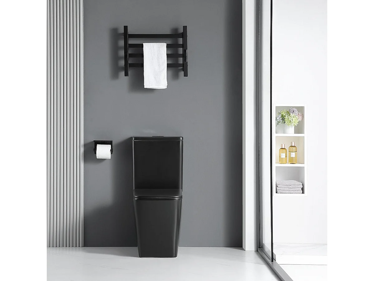 Toilette WC à poser BRAGADO en céramique noir mat