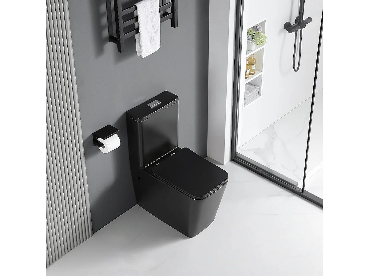 Toilette WC à poser BRAGADO en céramique noir mat