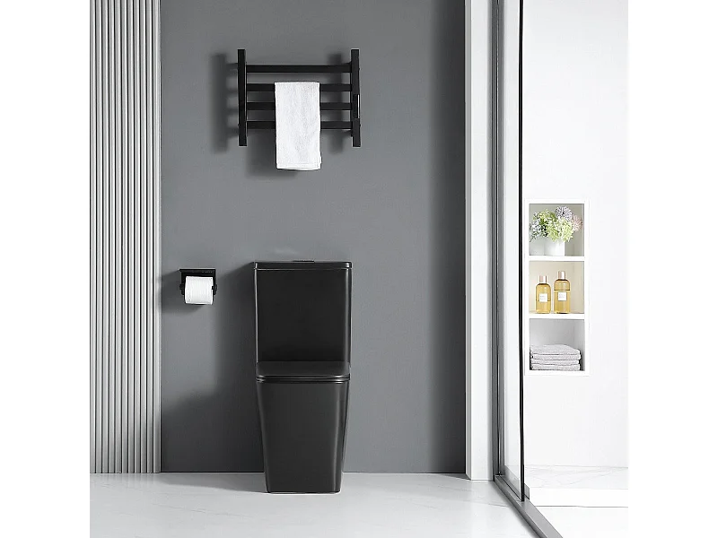 Toilette WC à poser BRAGADO en céramique noir mat