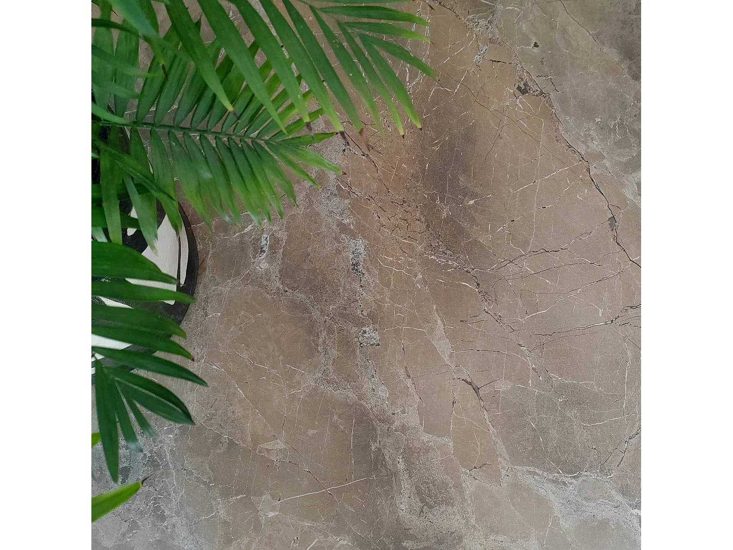 Table 120 x 70 cm - Milan marbre grec chants laiton