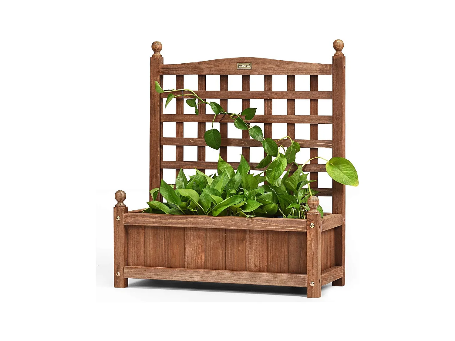 Jardinière avec Treillis en Bois 64,5 x 28 x 75 cm Bac à Fleurs Rectangulaire avec Trous de Drainage pour Jardin Terrasse