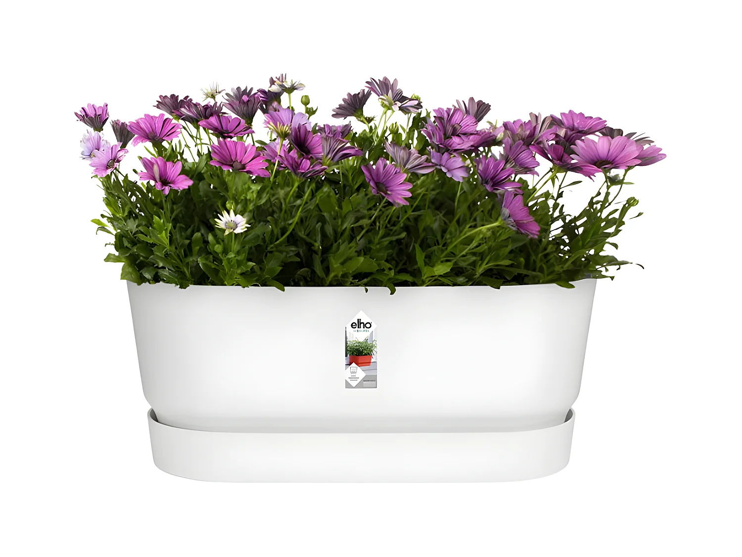 Ovaler Pflanzkasten – Kunststoff – Mit Rädern – Ø 60 – Weiß