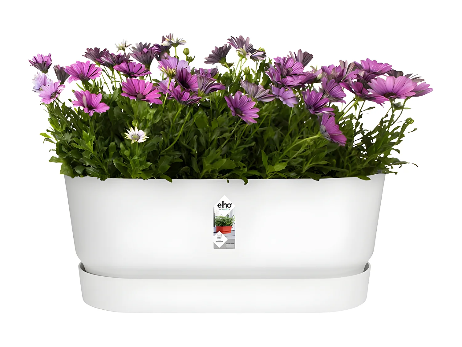 Ovaler Pflanzkasten – Kunststoff – Mit Rädern – Ø 60 – Weiß