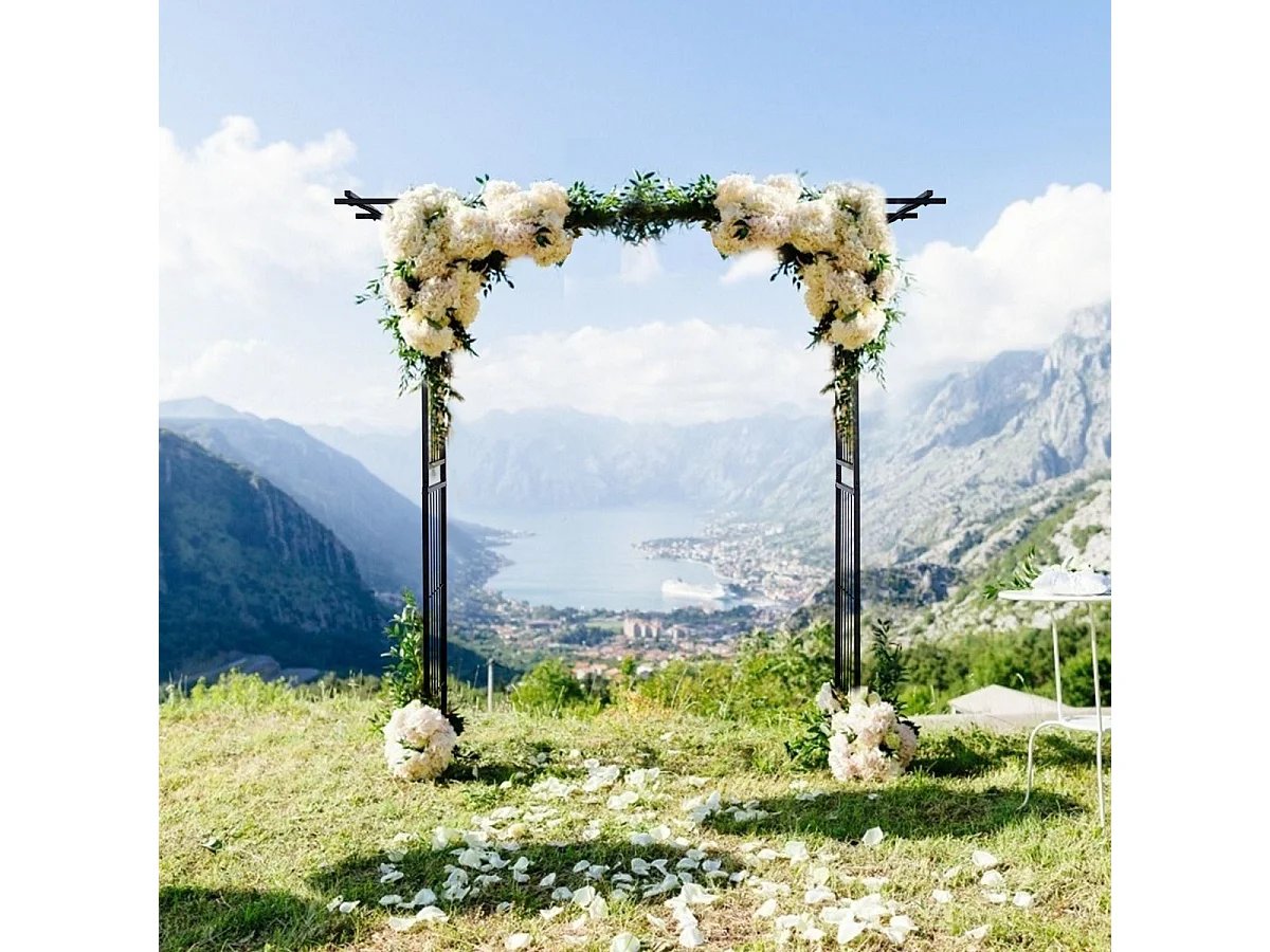 Arche Mariage en Métal de Jardin pour Plantes Grimpantes, Arceau à Rosiers Imperméable 208 x 52 x 208 cm Revêtu de Poudre Décorations DIY Patio, Cérémonie
