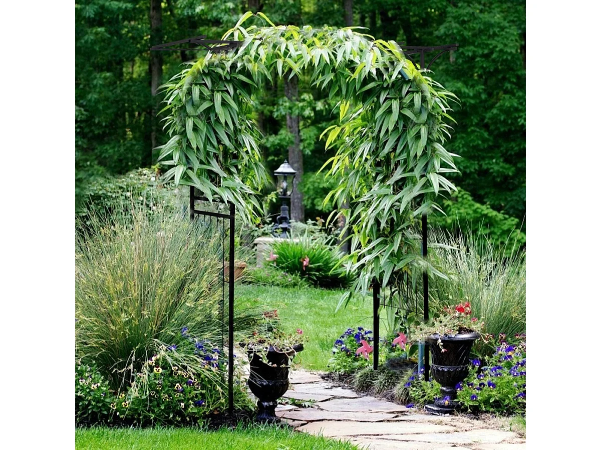 Arche Mariage en Métal de Jardin pour Plantes Grimpantes, Arceau à Rosiers Imperméable 208 x 52 x 208 cm Revêtu de Poudre Décorations DIY Patio, Cérémonie