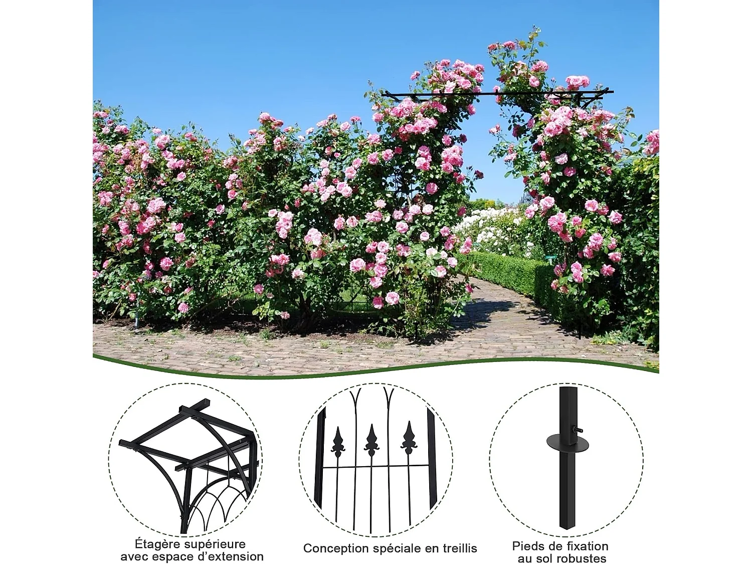 Arche Mariage en Métal de Jardin pour Plantes Grimpantes, Arceau à Rosiers Imperméable 208 x 52 x 208 cm Revêtu de Poudre Décorations DIY Patio, Cérémonie