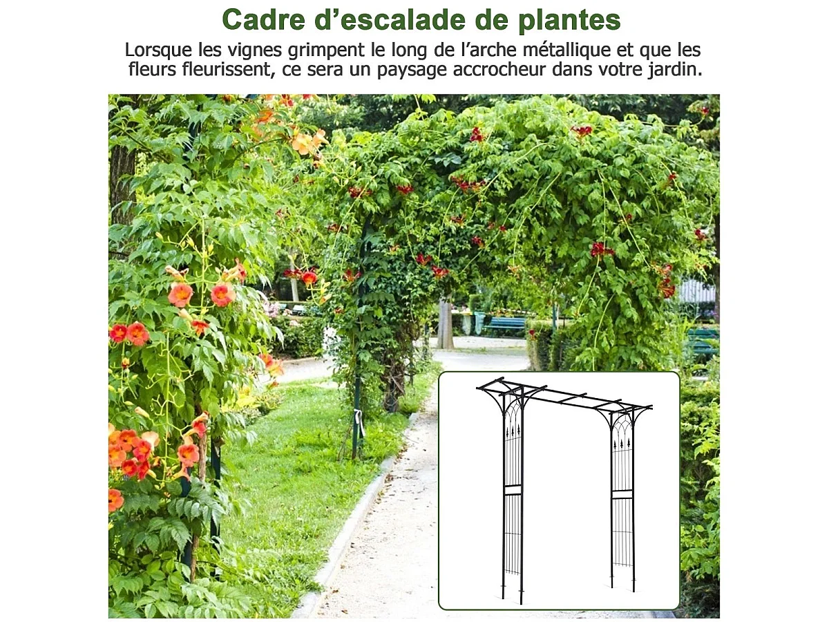 Arche Mariage en Métal de Jardin pour Plantes Grimpantes, Arceau à Rosiers Imperméable 208 x 52 x 208 cm Revêtu de Poudre Décorations DIY Patio, Cérémonie