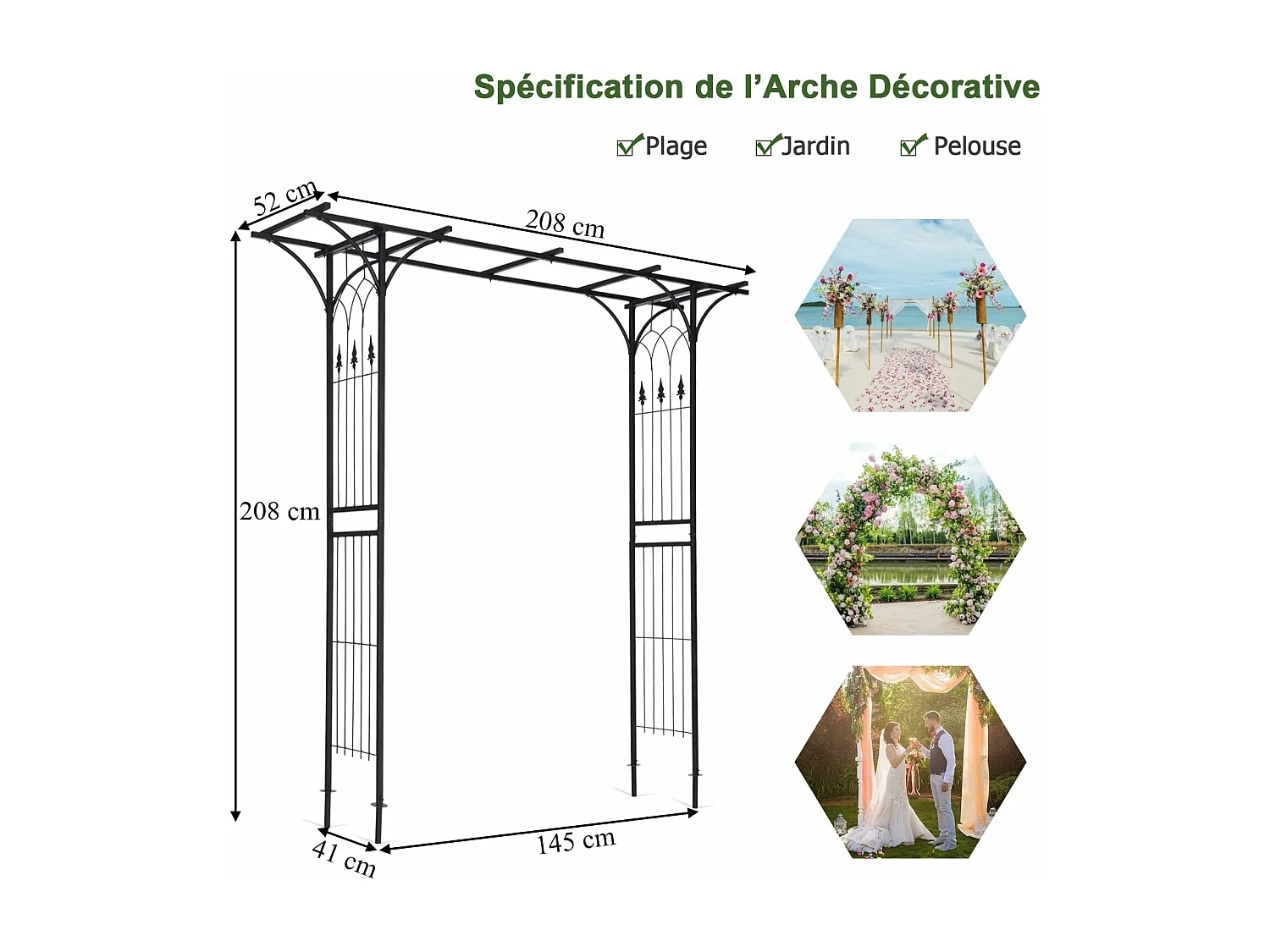Arche Mariage en Métal de Jardin pour Plantes Grimpantes, Arceau à Rosiers Imperméable 208 x 52 x 208 cm Revêtu de Poudre Décorations DIY Patio, Cérémonie