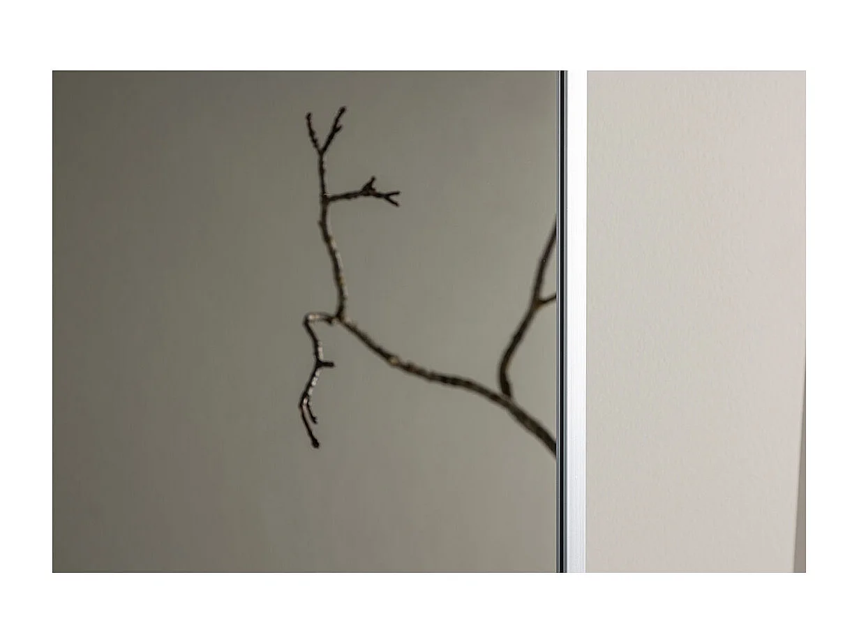 Orlando spiegel vloer en wand 85x190 cm zilverkleurig.