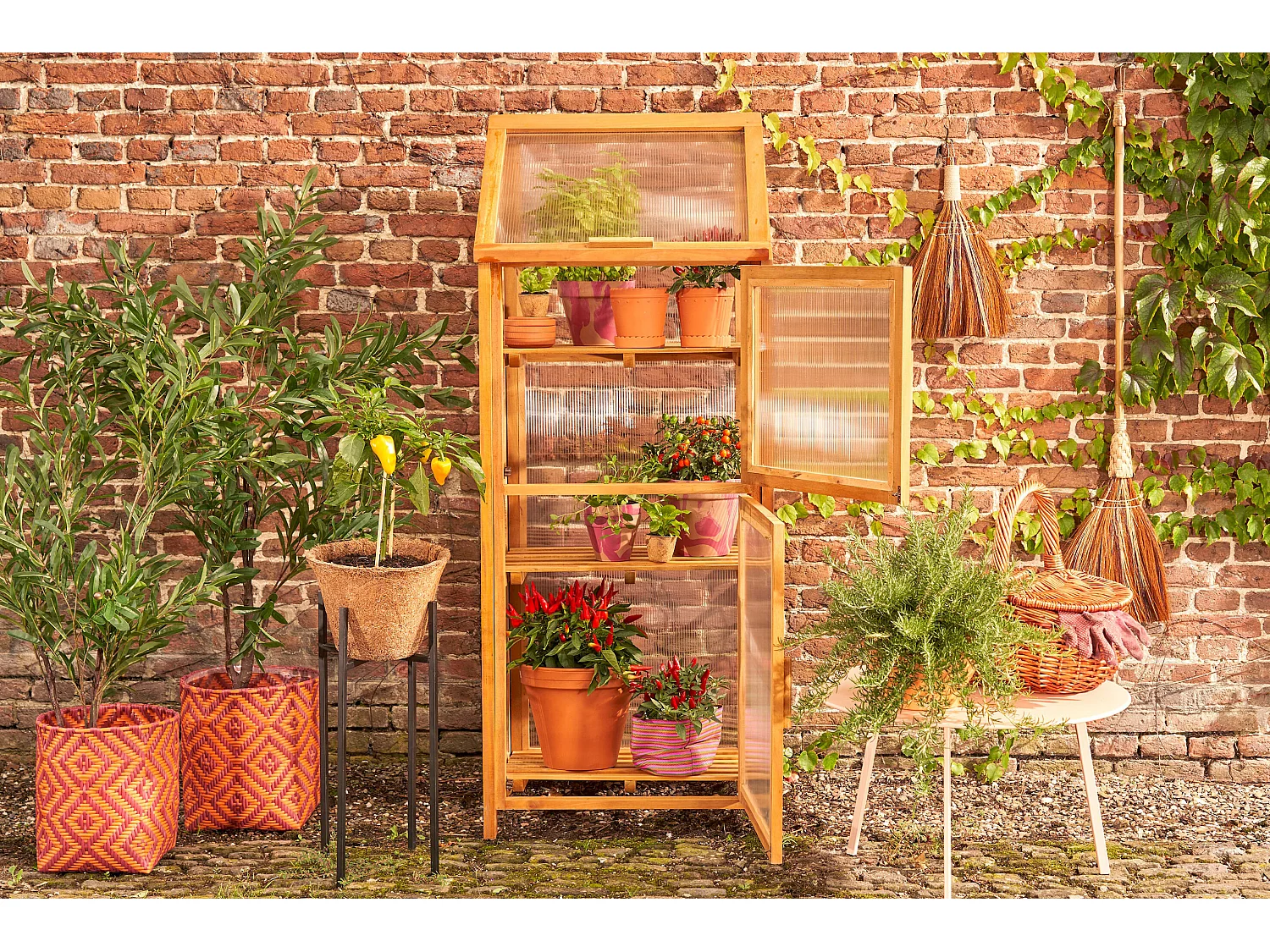 Serre en acajou et polycarbonate et pièces métals - 60 x 42 x 152 - Marron - CAMINIA