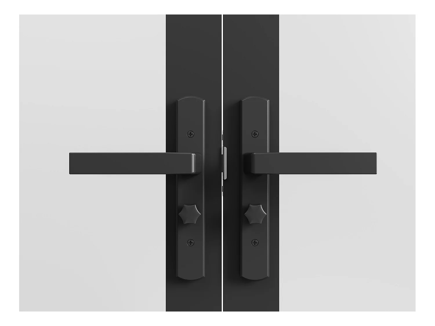 Omkeerbare dubbele deur van aluminium en mat glas - 2 x H204 x B83 cm - Zwart - MASERU