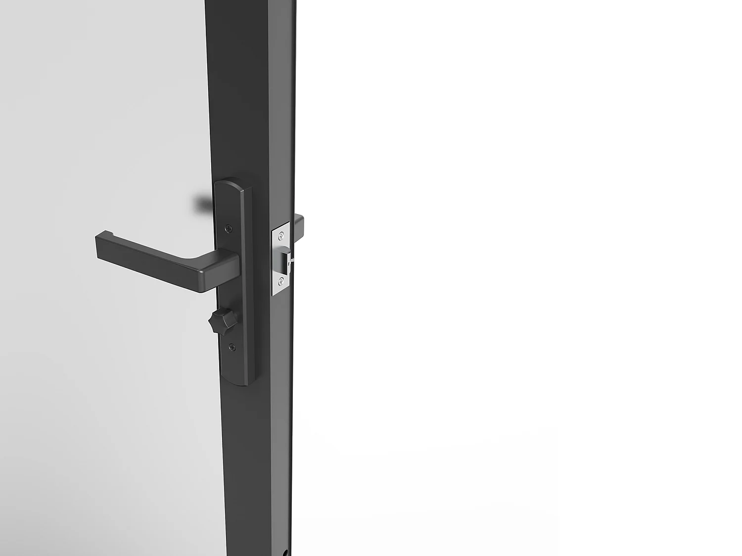 Tür-Set - wendbar - Aluminium & Sicherheitsglas mattiert - 204 x 93 cm - Schwarz - LOXTON