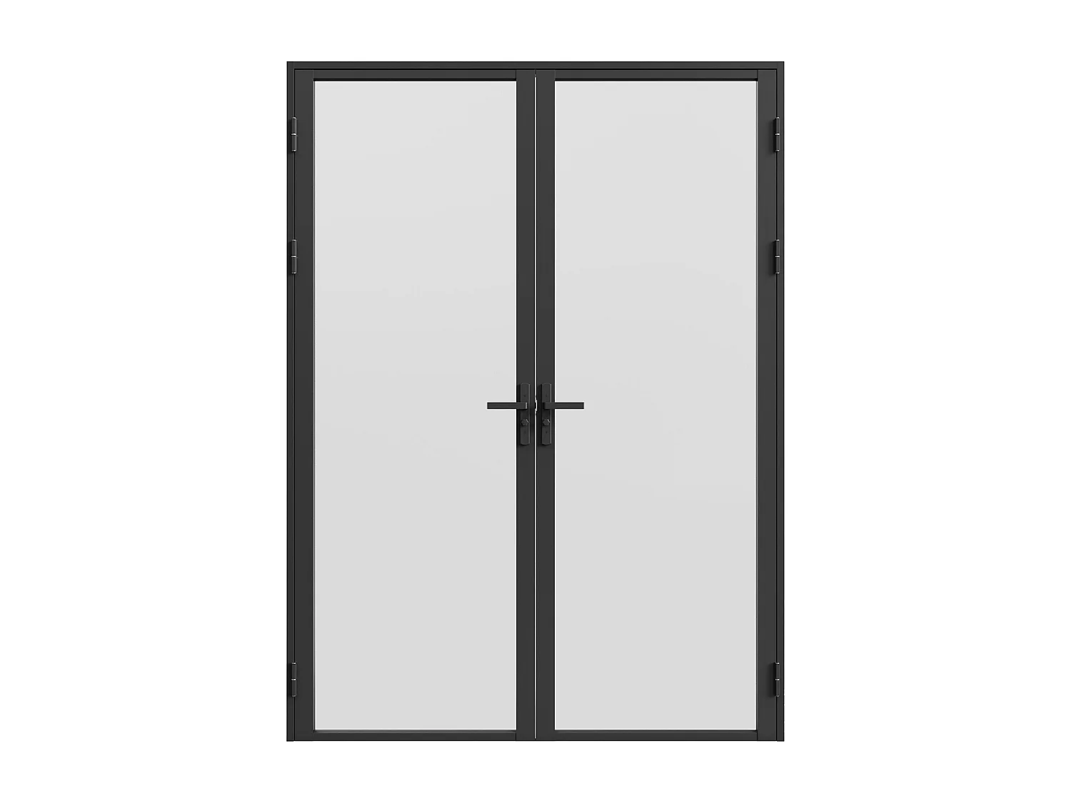 Drzwi kompletne 2-skrzydłowe dwustronne z aluminium i matowego szkła hartowanego - 2 x wys. 204 x szer. 93 cm - Czarny - LOXTON