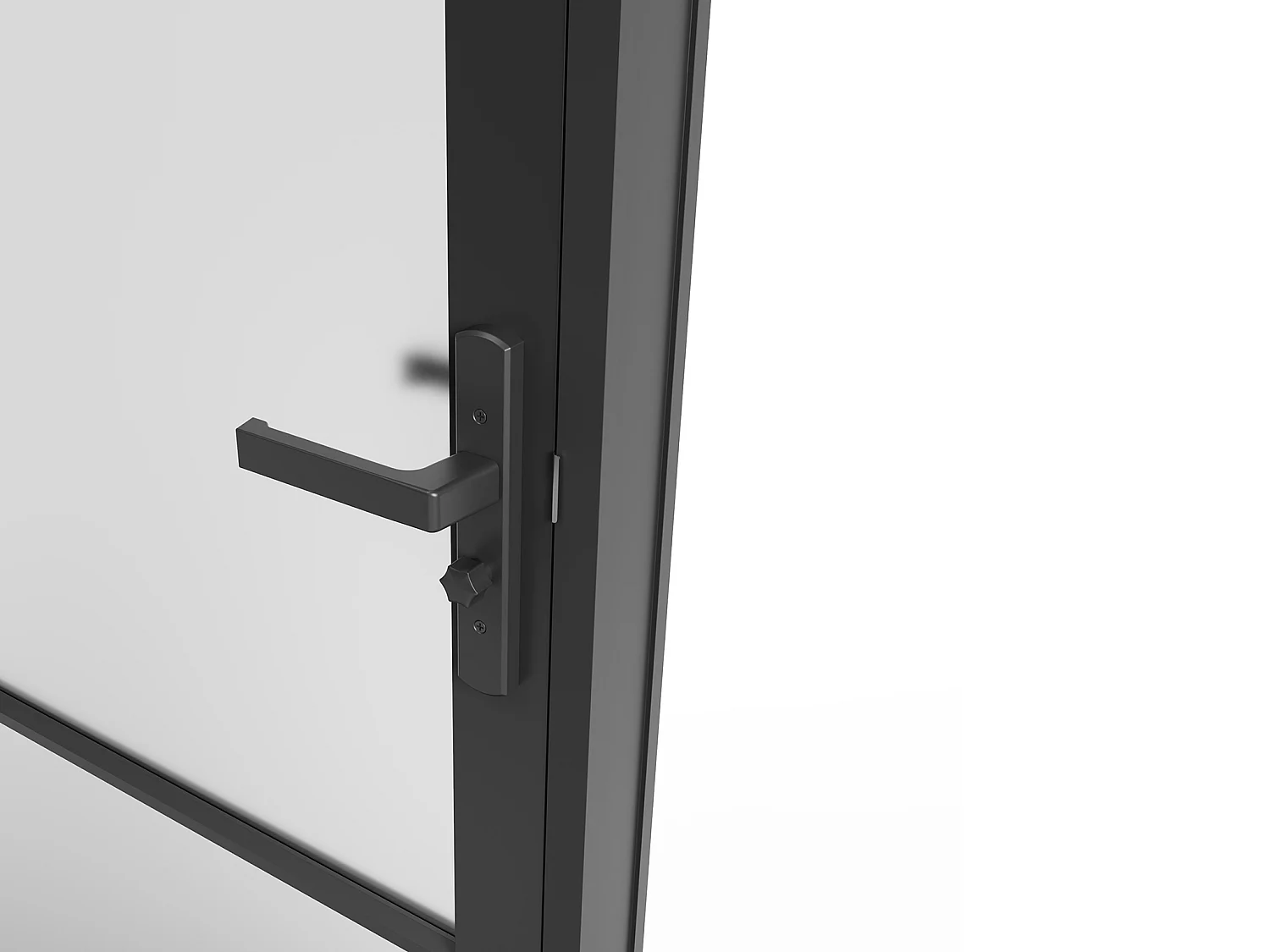 Drzwi kompletne dwustronne z aluminium i matowego szkła hartowanego - wys. 204 x szer. 73 cm - Czarny - MASERU