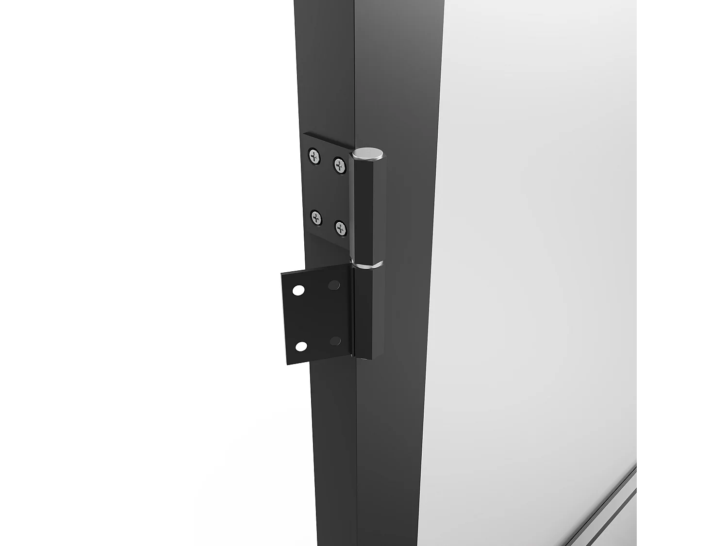 Tür-Set - wendbar - Aluminium & Sicherheitsglas mattiert - 204 x 73 cm - Schwarz - MASERU